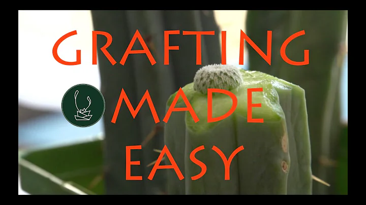 Cactus Grafting | Adam DawidczykTCSC Monthly Meeti...