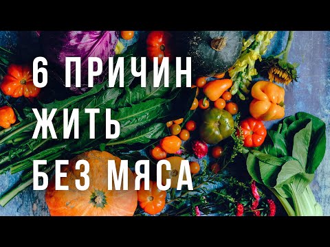 Почему люди не едят мясо? 6 причин вегетарианства.