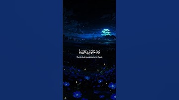 اكتب شيء تؤجر عليه ❤️😴 قران كريم | ياسر الدوسري