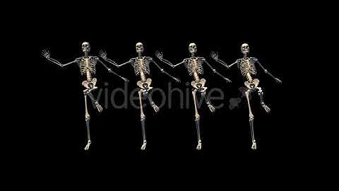Skeletons Can Can Dance | Motion Graphics - Envato elements