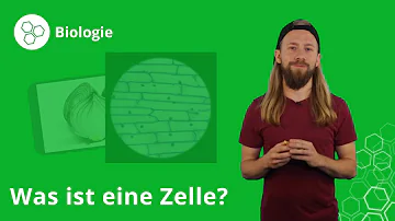 Was ist die Zelle einfach erklärt?