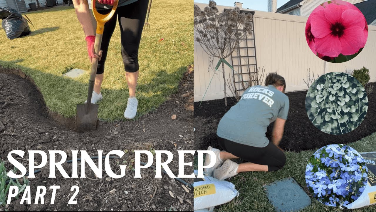 New garden bed spring prep, raised bed prep, Dichondra silver falls and Lobelia from seed.