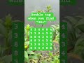 Observation Visual Test: 5 Seconds For You To Spot:384 . Try Your Skills!  #search #puzzle #shorts