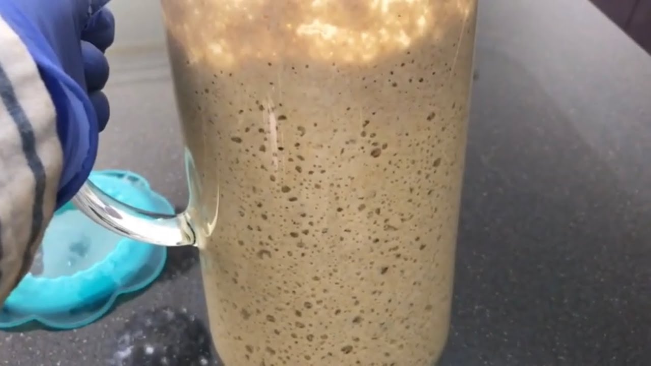 أجي تشوفو الطريقة الصحية للخميرة البلدية