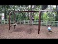 How  high can you go?????