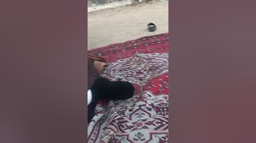 دحيم الحماد ١٤٤٢هـ تلاوة من سورة نوح