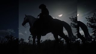 Wild Horse - Darci Slowed Reverb For Edits