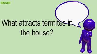 What Attracts Termites In The House?
