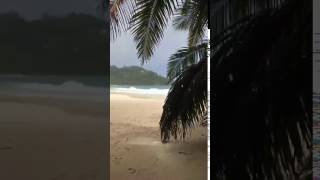 VIDEO - Lady Zielinski alle Seychelles
