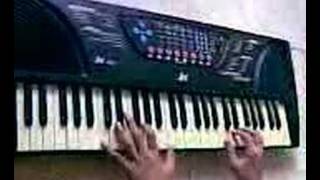 Fly magpie on piano (o2jam)