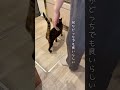 末っ子が寝てる時はめちゃくちゃ甘えん坊になる保護猫が可愛すぎる…