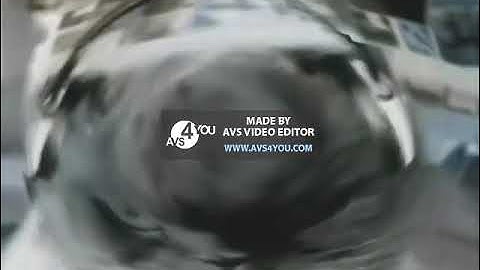 Preview 2 Numa Cats V2 effects preview 2 by zack d flims csupo effects