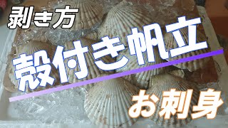 超～簡単な？殻付きホタテ貝の剥き方お刺身