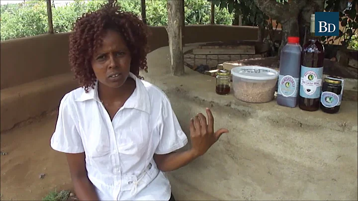 Eradicating invasive cactus through utilisation