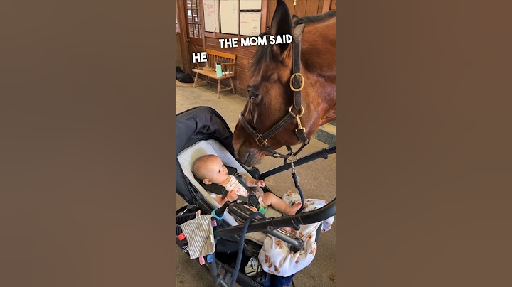 When a horse meets a baby ❤️