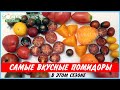 Самые вкусные помидоры в этом сезоне. Самые вкусные сорта томатов. Лучшие сорта томатов