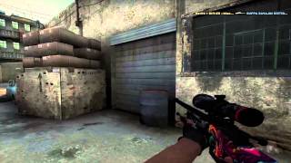 Sick AWP Ace (1v4) Panic Noscope