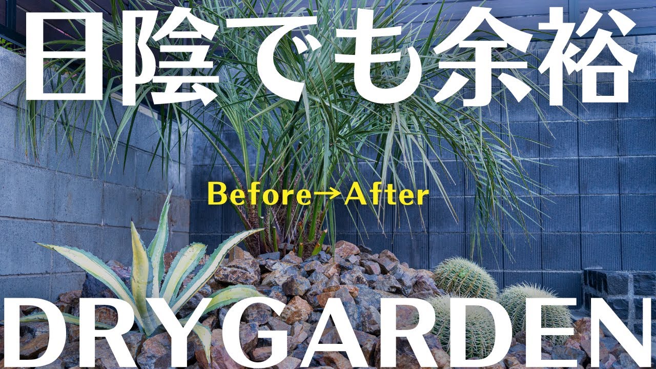 【諦めていた方必見】日陰で作るドライガーデンBEFORE→AFTER