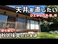 #15【独身女と保護犬】素人が天井を修理する｜田舎に秋がきた【平屋で暮らす】