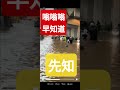 #嗡嗡嗡早知道#先知