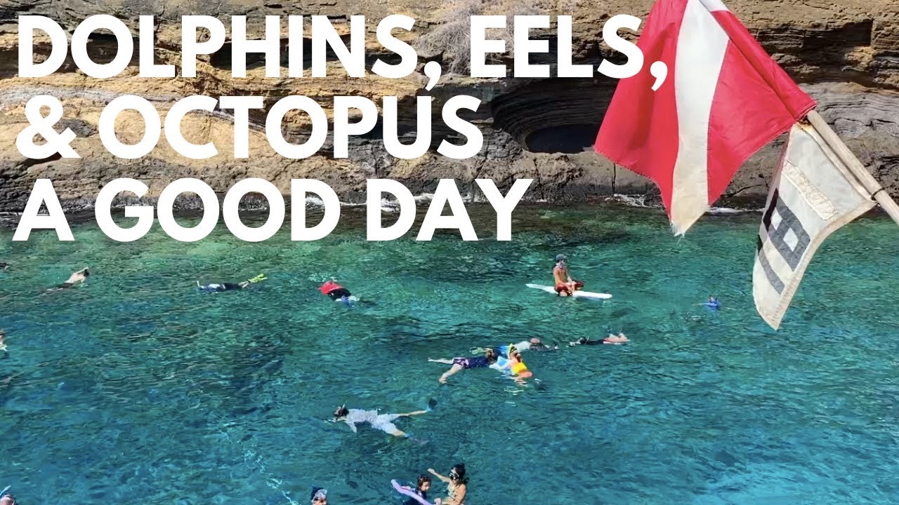 Molokini Snorkeling Tour (Maui) Is a Molokini Crater Snorkel Trip