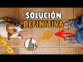 Cómo Evitar Que Mi Perro SE ORINE En TODAS PARTES | Cómo Hacer Un REPELENTE PARA PERROS Casero