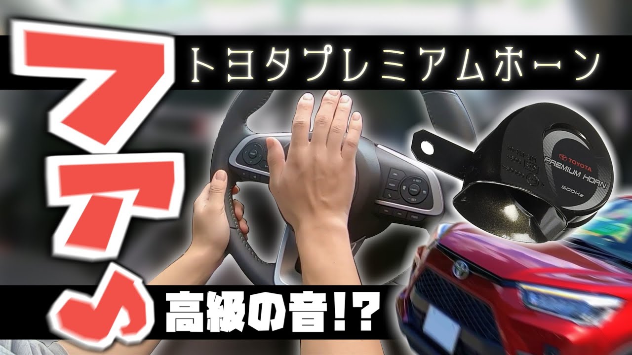 【ライズ】ホーン変えたァ!!!!!!