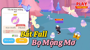 Play Together | Mình Đã Thử 24h Vợt Full 15 Loài Côn Trùng Mới Và Cái Kết #203