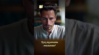 Тренировка внимания — первый шаг к внутренней свободе