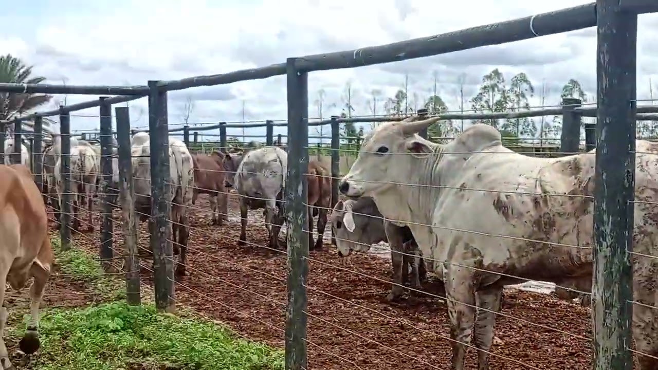 5 de janeiro de 2026