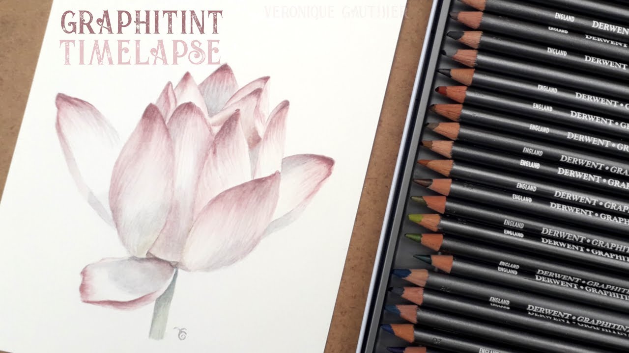 Drawing a lotus flower with Graphitint pencils /// Timelapse