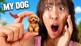 My Dog Turned into THE WORLDS SMALLEST DOG!