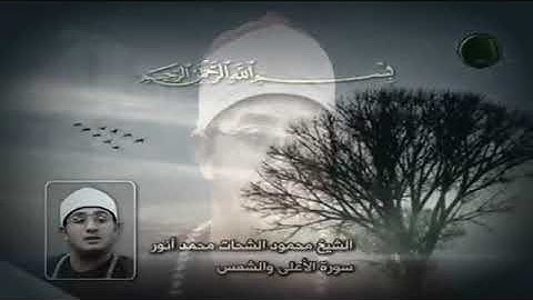 الآخر سورة الأعلى مع اول سورة الشمس الشيخ محمود الشحات محمد أنور[مقام الكرد]اسمعها بقلبك 😭