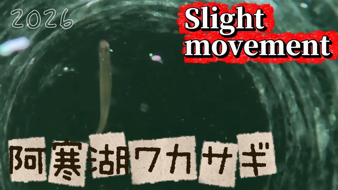 おっさん、深〜い湖底から魚信を感じる【阿寒湖】