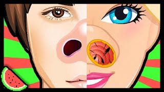 What is happening?! | Barbie-Justin Nose Doctor