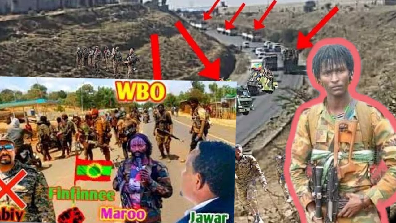 Odu Hatattama Guyyaa Haŕaa Warani Bilsumma Oromo Injfanno Wbo