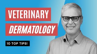 Veterinary Dermatology 10 TOP TIPS you NEED to Know screenshot 3