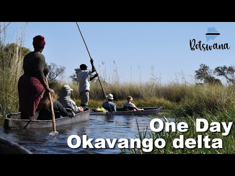 Video: Đồng bằng Okavango, Botswana: Hướng dẫn đầy đủ