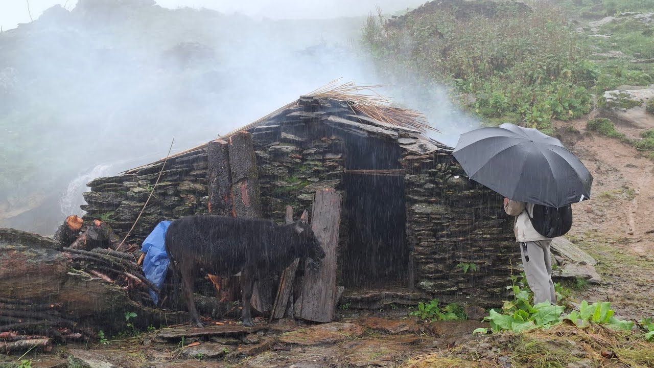 This is Himalayan Village Life During The Heavy Rainy Season | Beautiful Nature With Documentary 