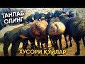 ТОЗА ХУСОРИ ҚЎЙ НАРХЛАРИ БИЛАН ТАНИШИНГ