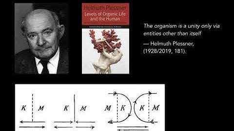 Bordercrossings: bodies and ecologies in the enactive approach - Ezequiel A. Di Paolo