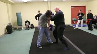 Bujinkan Ninjutsu, 7th Kyu, part 55 - low, high roundhouse double