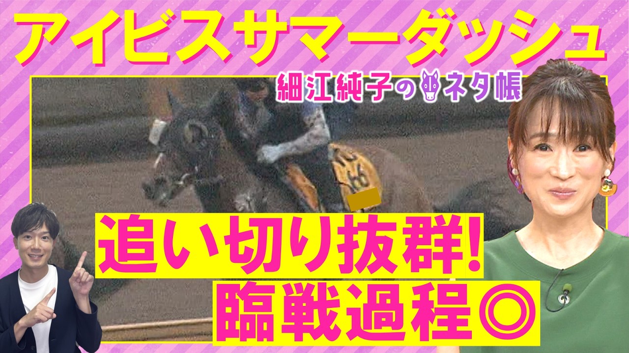 関連動画1
