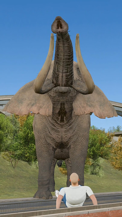 How To Survive Elephant Attack?