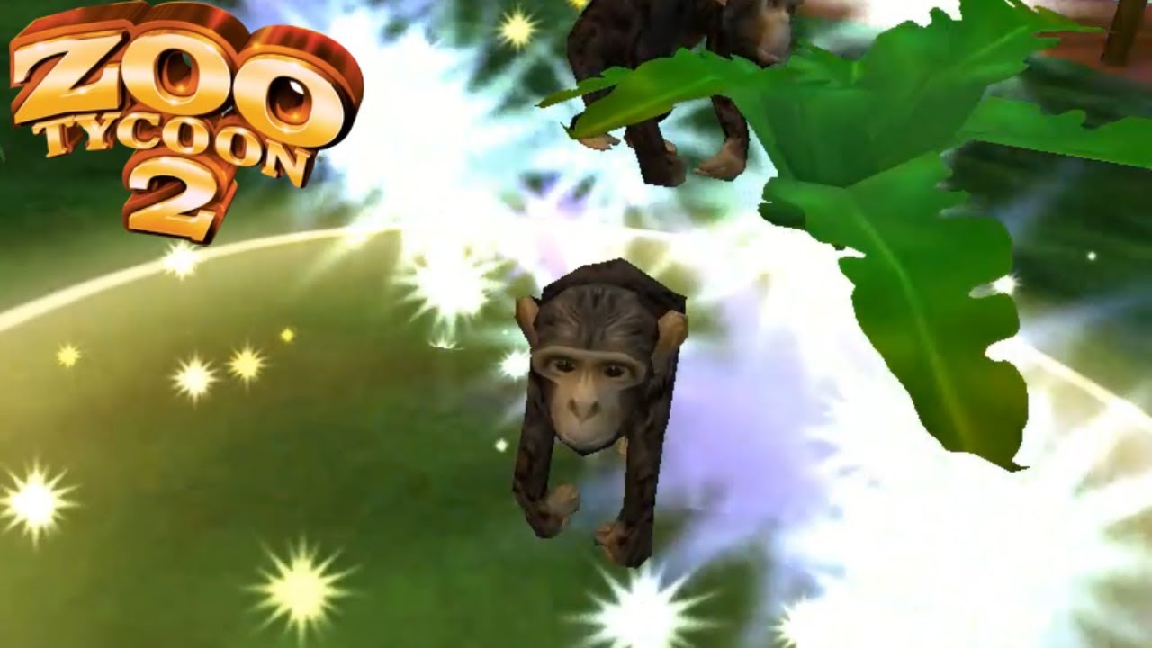 Chimpanzee Breeding Zoo Tycoon 2 YouTube