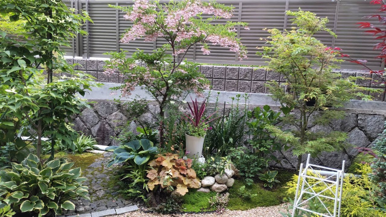 あなたとわたしと庭たちと エゴノキが咲く風景 Youtube