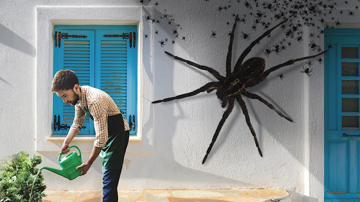 What If Giant Spiders Occupied Your City One Day - DayDayNews