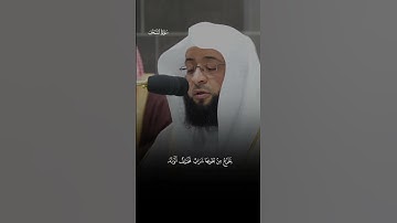 ثُمَّ كُلِی مِن كُلِّ ٱلثَّمَرَ ٰتِ فَٱسۡلُكِی سُبُلَ رَبِّكِ ذُلُلࣰاۚ|سورة النحل |الشيخ بدر التركي
