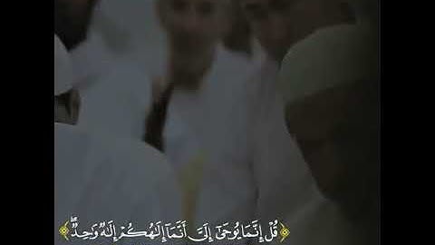 وما أرسلناك إلا رحمة للعالمين |القارئ اسلام صبحي ᴴᴰ