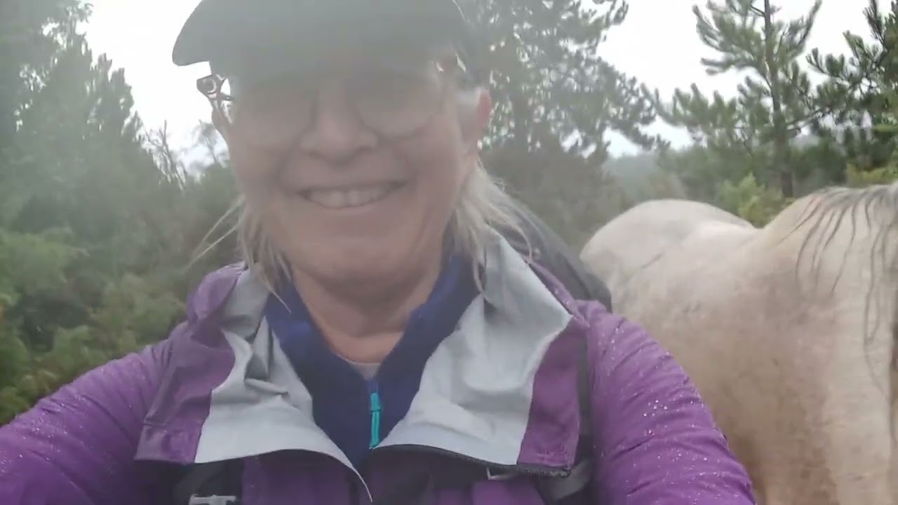 Tour du Causse Mejean,  jour 3: Mas St Chely/Croupillac: pluie, chevaux et falaises de Florac!